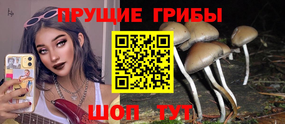 Орск  Галлюциногенные грибы GOLDEN TEACHER  Вход с VPN 