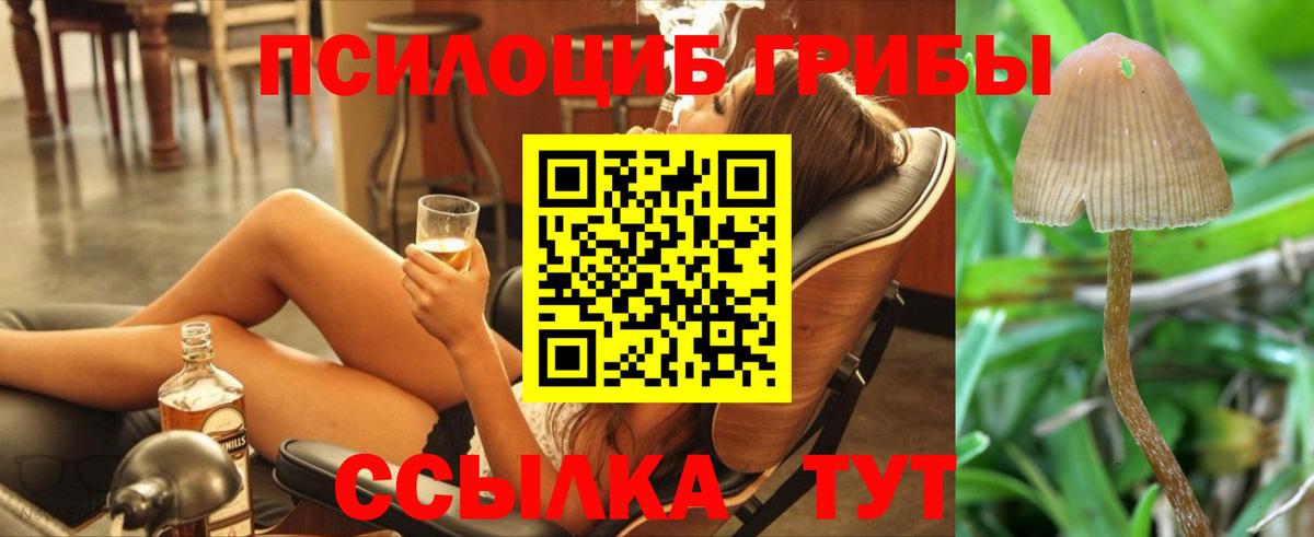 Псилоцибиновые грибы Cubensis Орск